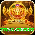 1st inning betting cricket Deluxe v4.6.5