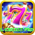 bbl cricket - VIP Master