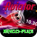 bingo Plus Pro v1.3.4