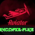 bingopkr Deluxe v3.6.8