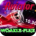 chris woakes APK Premium v2.9.6