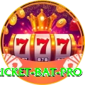 cricket bat Casino Gold v5.8.4
