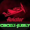 cricket jersey Gold Pro v3.7.8