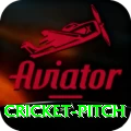 cricket pitch Games (Casino & Earning) Gold v2.3.0
