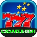 croaker fish Plus