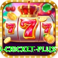 fastest ball in cricket Pakistan Ultimate v1.0.8