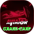 grass carp Games (Casino & Earning) Plus v2.4.7