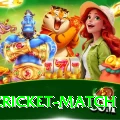india cricket match Turbo v4.2.1