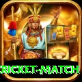 india pakistan cricket match Plus Edition v4.4.7