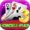 india pakistan cricket - Gaming Mega