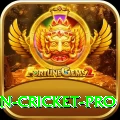 india pakistan cricket Earn Champion v3.9.0