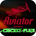 international cricket Deluxe - Win Real PKR