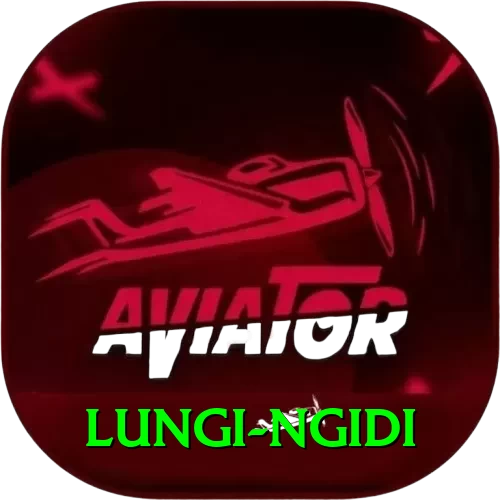 lungi ngidi Pro Edition v3.5.0 - 2