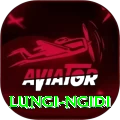 lungi ngidi Pro Edition v3.5.0