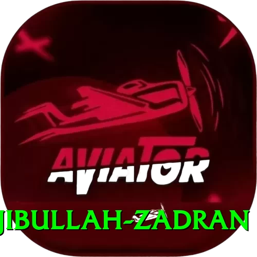 najibullah zadran Deluxe Pro v5.8.7 - 2
