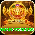 naseem shah yorkers Premium Edition v1.4.5