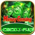 nepal cricket APK Master v3.4.1