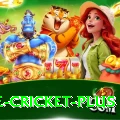one cricket Casino Official v4.9.9