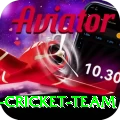 pakistan women cricket team Turbo v2.3.9