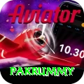 pakrummy Apps (Tools & Injectors) Max v1.1.5