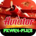 pkwin Gold v4.5.4