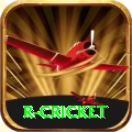 r cricket Pro Max v3.9.9