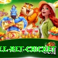 risk free bet cricket Games (Casino & Earning) Deluxe v4.6.4