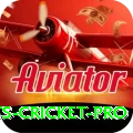 sports cricket - VIP Deluxe