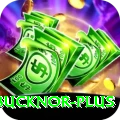 steve bucknor - VIP Earning App