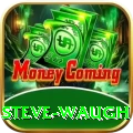 steve waugh Ultimate v5.3.4