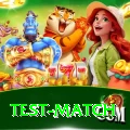 test match Elite Pro v1.8.4