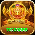 tiger888 Gold Pro vv4.9.4