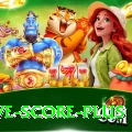 tnpl live score Legend v5.6.7
