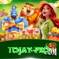 tojay Game Plus v3.8.3