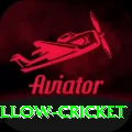 willow cricket VIP