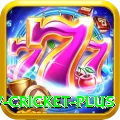 willow cricket Deluxe Casino App