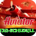 world t20 schedule Gold Edition v2.0.5